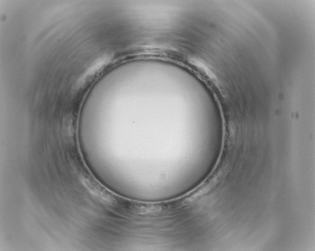 X0000088841403200706281810