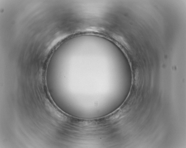 X0000088841404200706281810