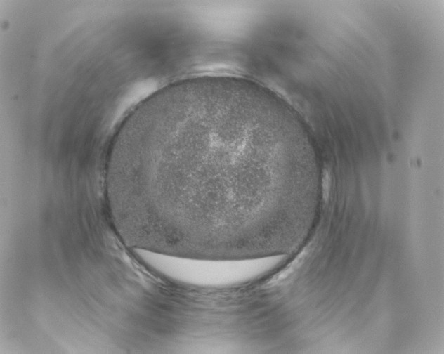 X0000088841405200706281810