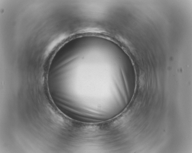 X0000088841406200706281810