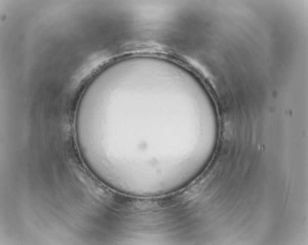 X0000088841407200706281810