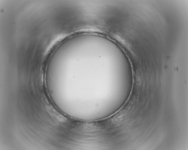 X0000088841408200706281810