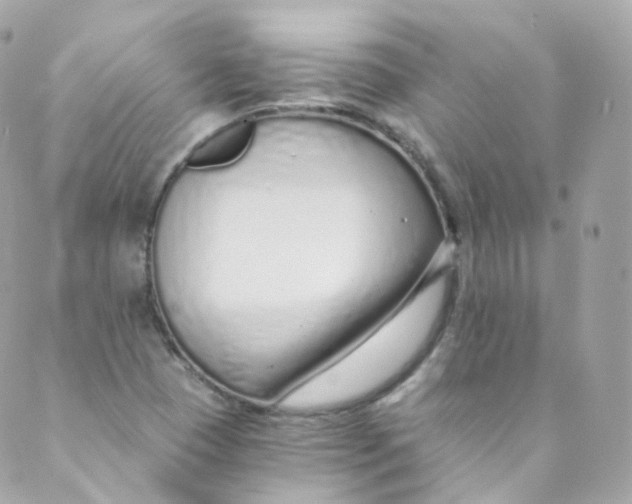 X0000088841409200706281810