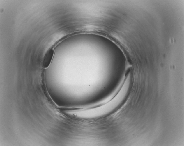 X0000088841410200706281810