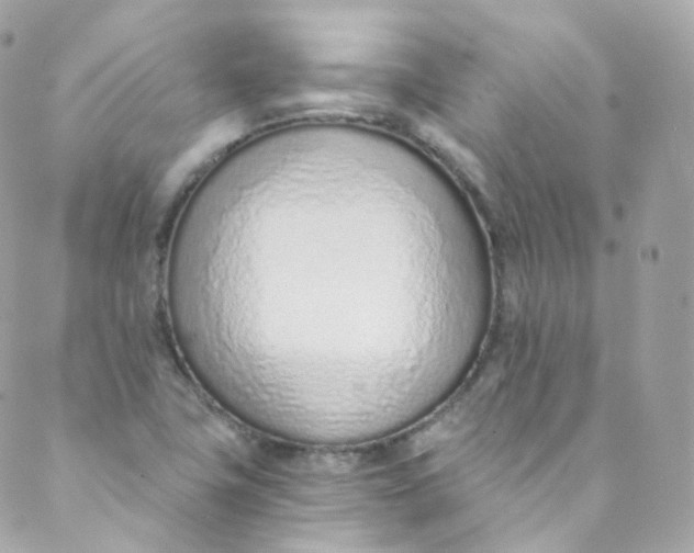 X0000088841411200706281810