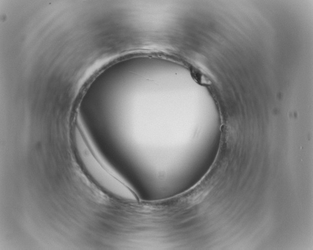 X0000088841412200706281810