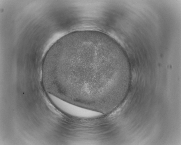 X0000088841413200706281810