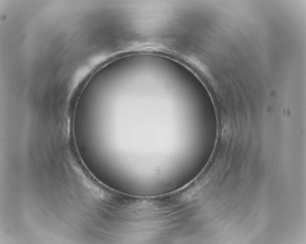 X0000088841414200706281810