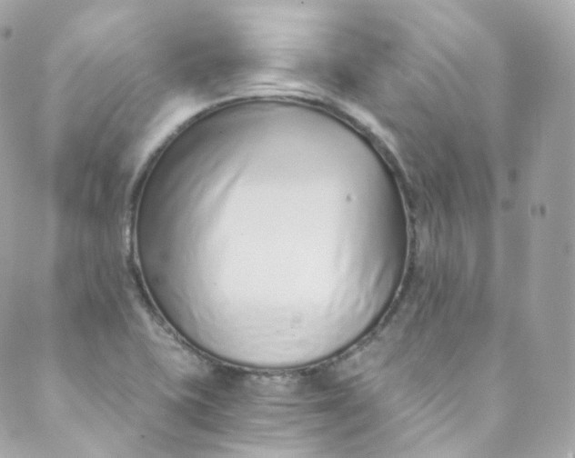 X0000088841415200706281810