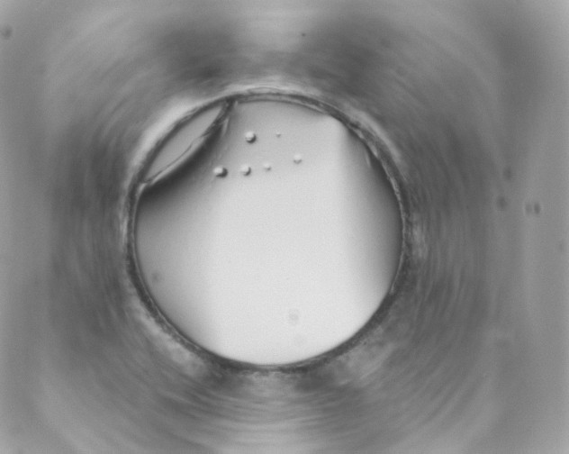 X0000088841416200706281810