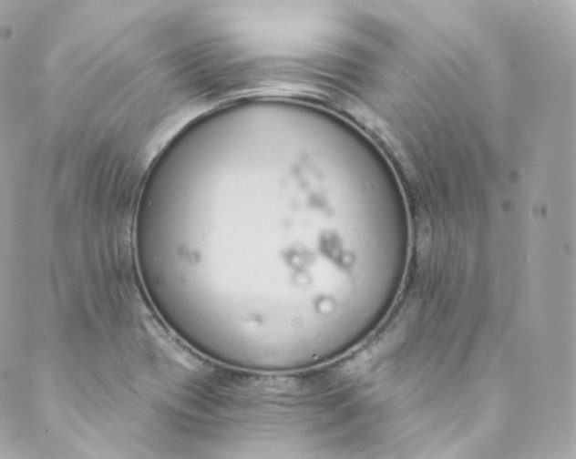 X0000088841417200706281810