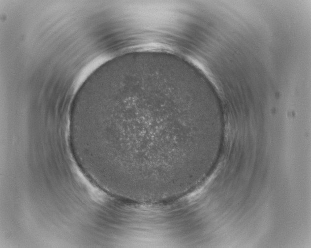 X0000088841418200706281810