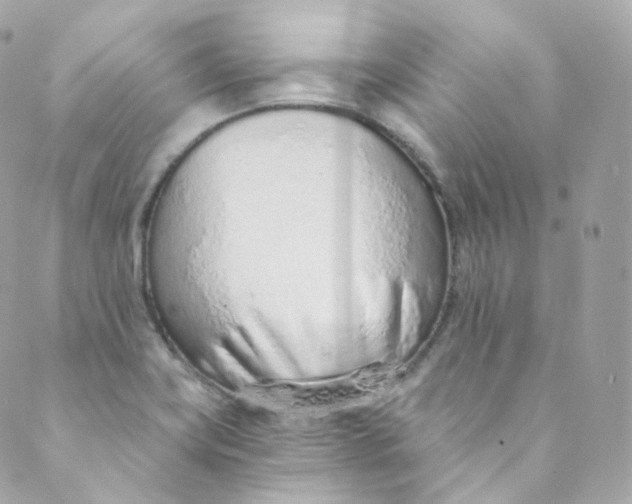 X0000088841419200706281810