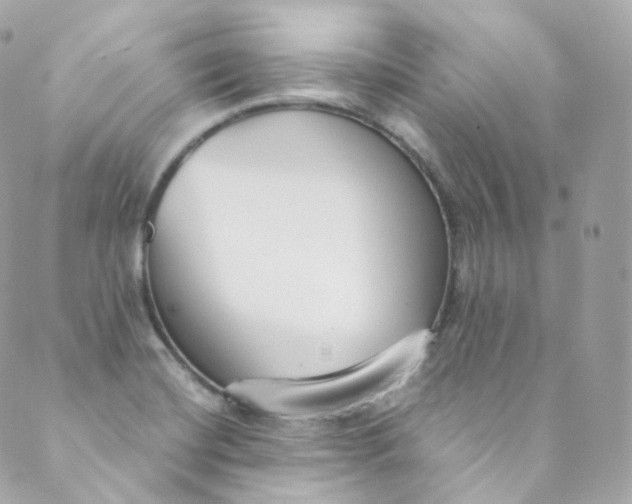 X0000088841420200706281810