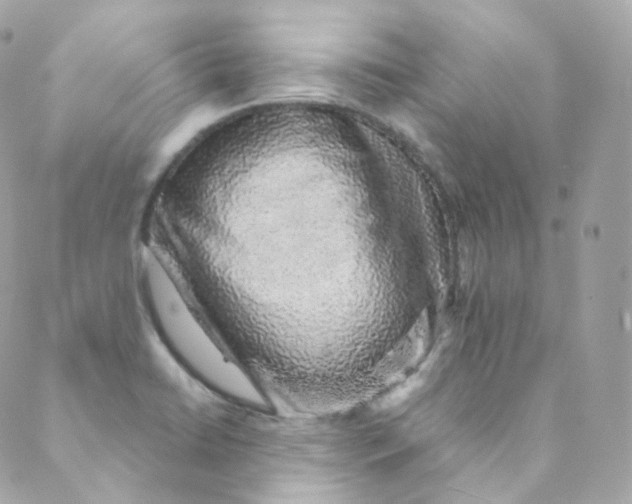 X0000088841422200706281810