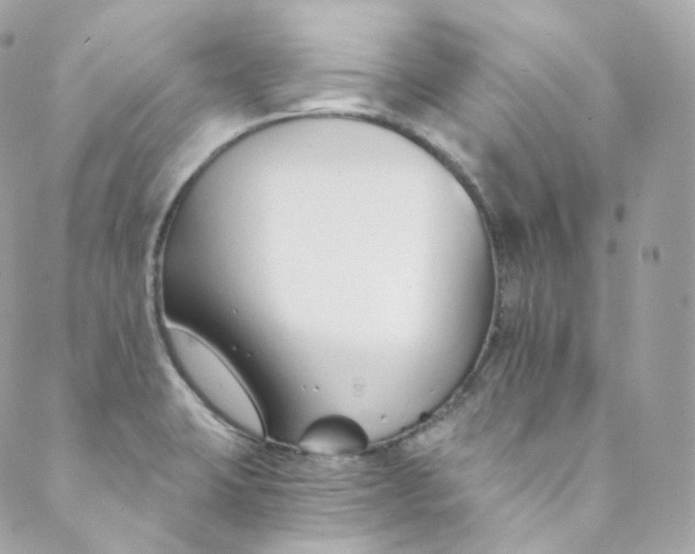 X0000088841423200706281810