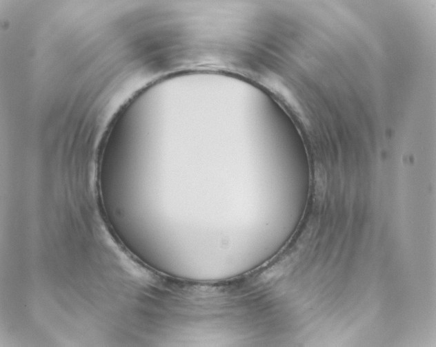 X0000088841424200706281810