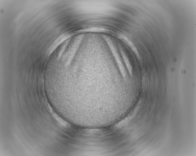 X0000088841425200706281810