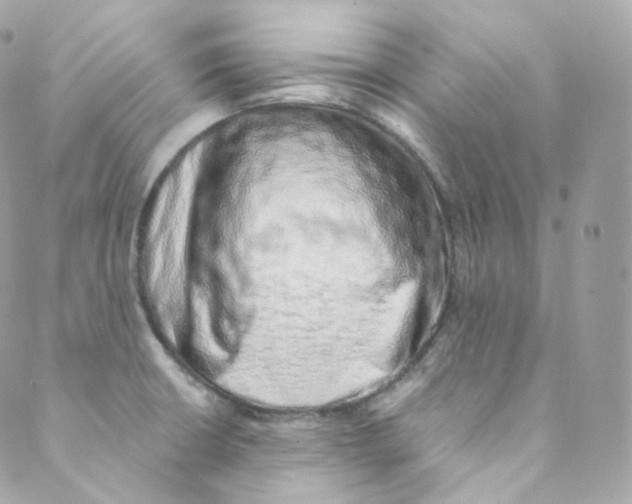 X0000088841426200706281810