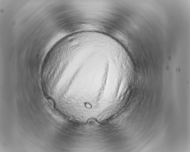 X0000088841427200706281810