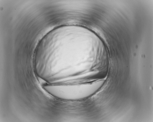 X0000088841429200706281810