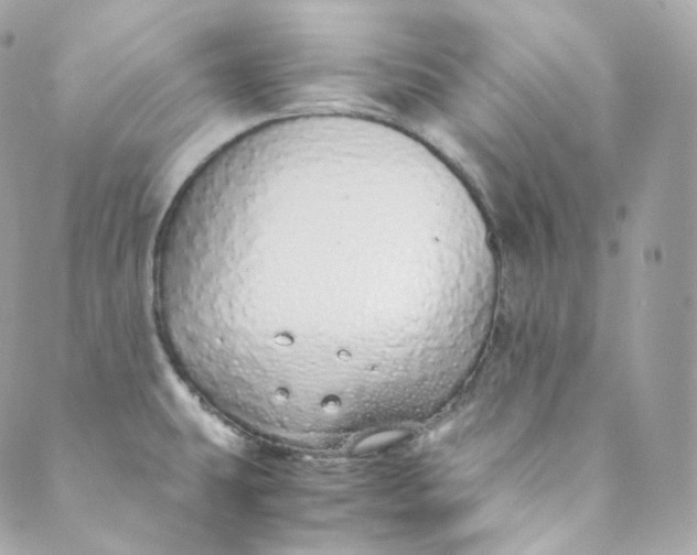 X0000088841431200706281810