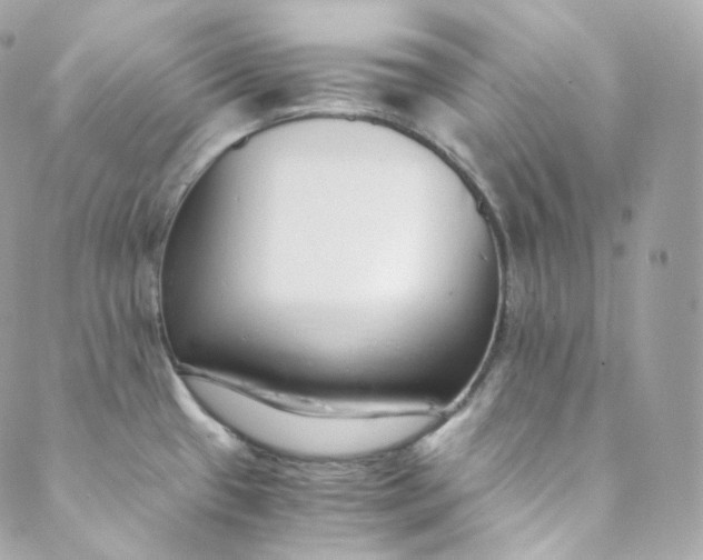 X0000088841433200706281810