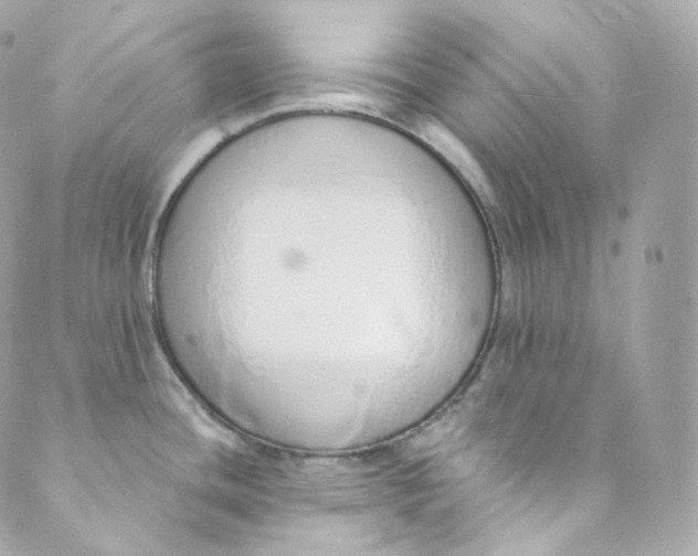 X0000088841436200706281810