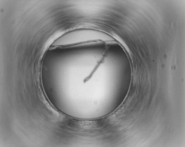 X0000088841437200706281810