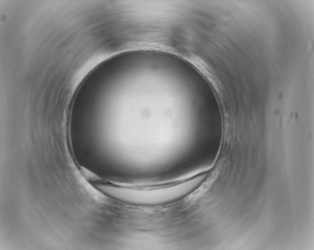 X0000088841438200706281810