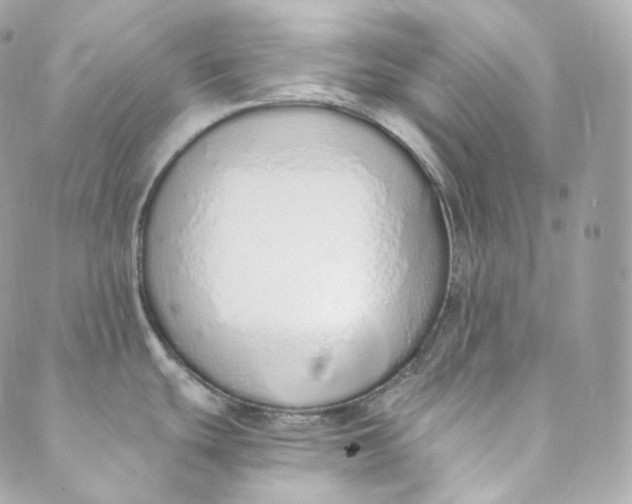 X0000088841439200706281810