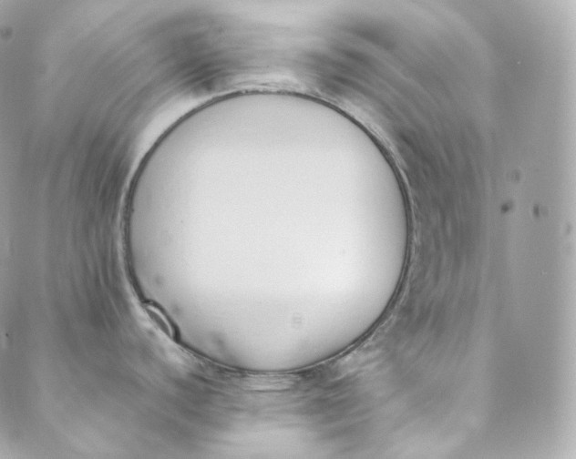 X0000088841440200706281810