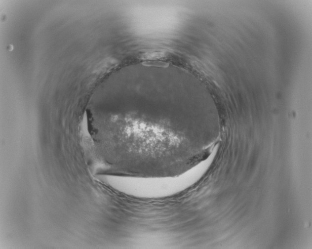 X0000088841441200706281810