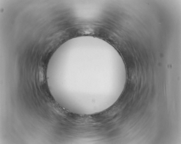 X0000088841442200706281809