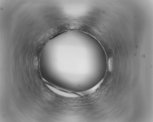 X0000088841443200706281809