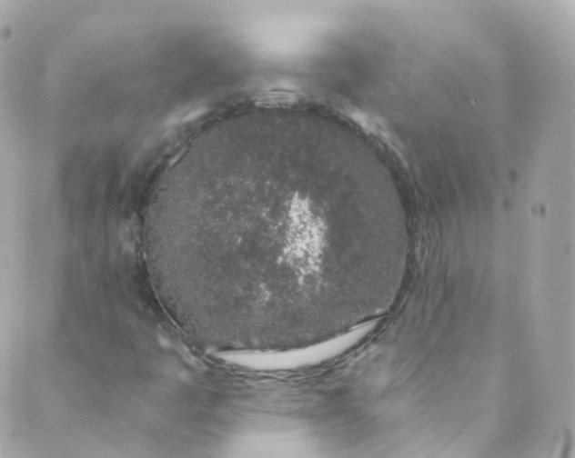 X0000088841445200706281809