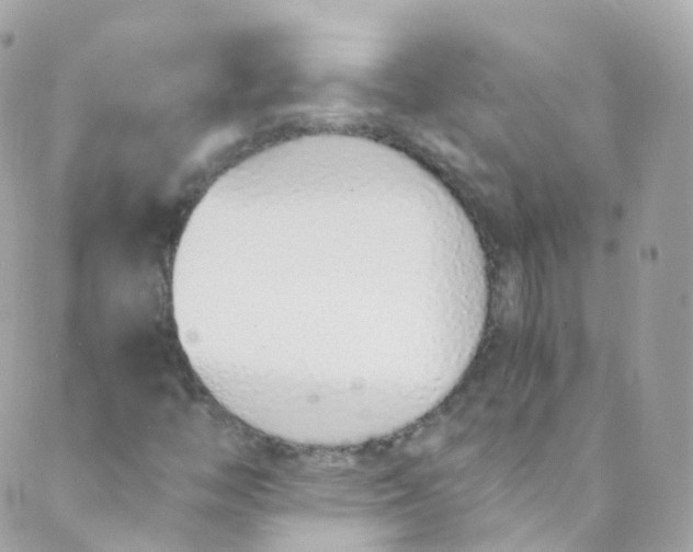 X0000088841446200706281809