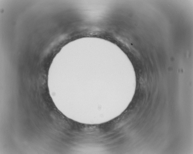 X0000088841447200706281809