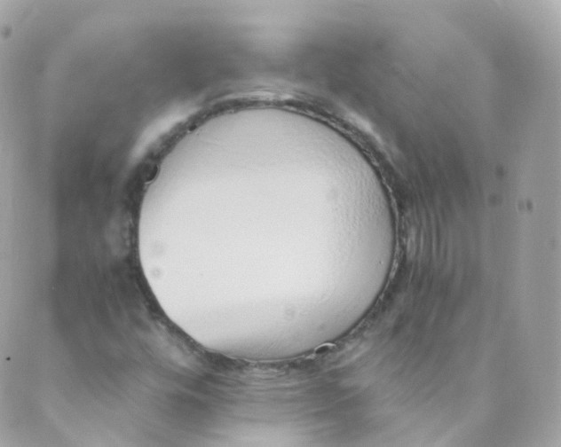 X0000088841448200706281809