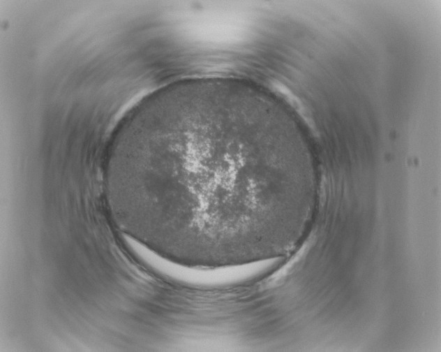 X0000088841449200706281809