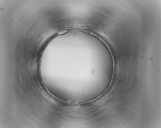 X0000088841450200706281809