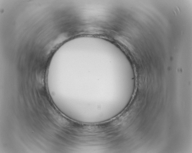 X0000088841451200706281809