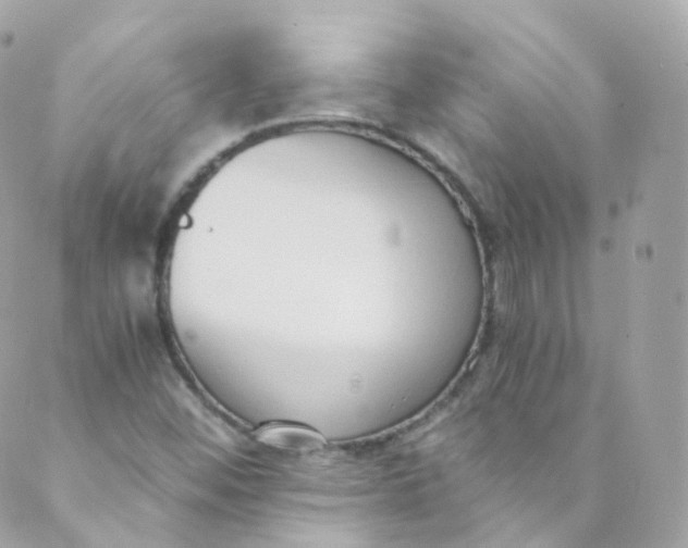 X0000088841452200706281809