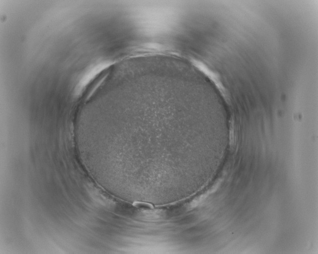 X0000088841453200706281809