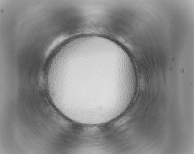 X0000088841454200706281809