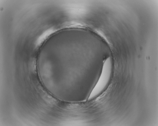 X0000088841455200706281809