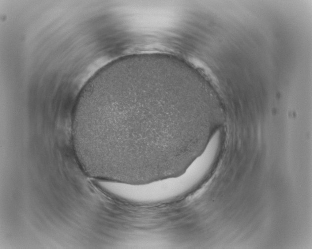 X0000088841457200706281809