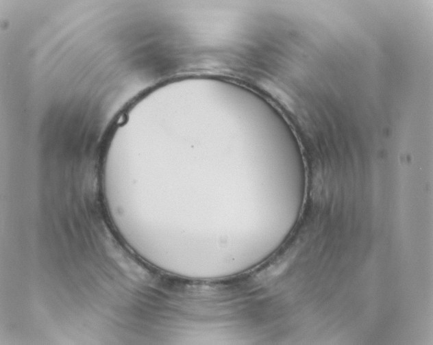 X0000088841458200706281809