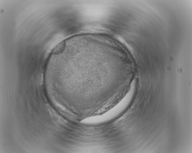 X0000088841459200706281809