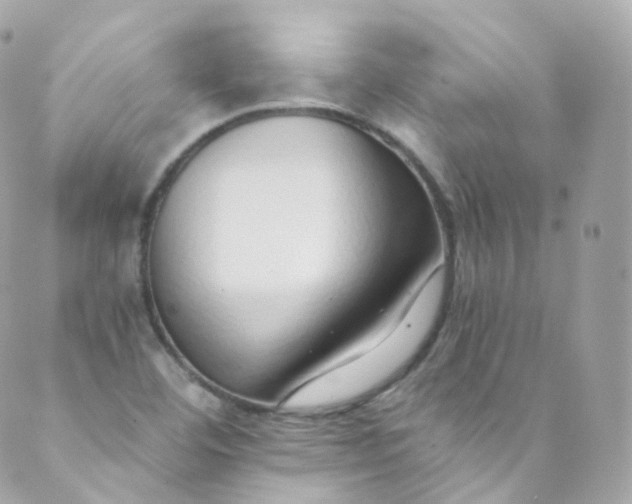 X0000088841460200706281809